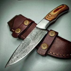 Beautiful Handmade Chef Kitchen knife with Pakka Wood Handle